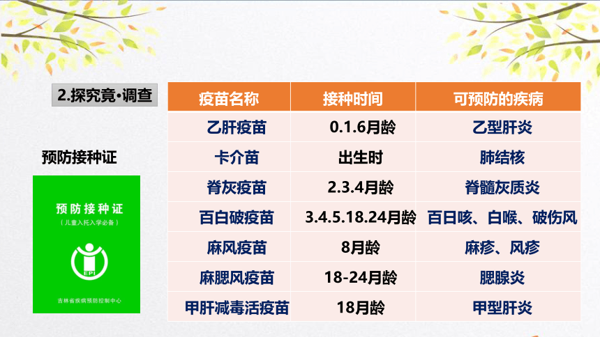 冀教版七年级下册生物 6.1 免疫 课件（24张PPT）