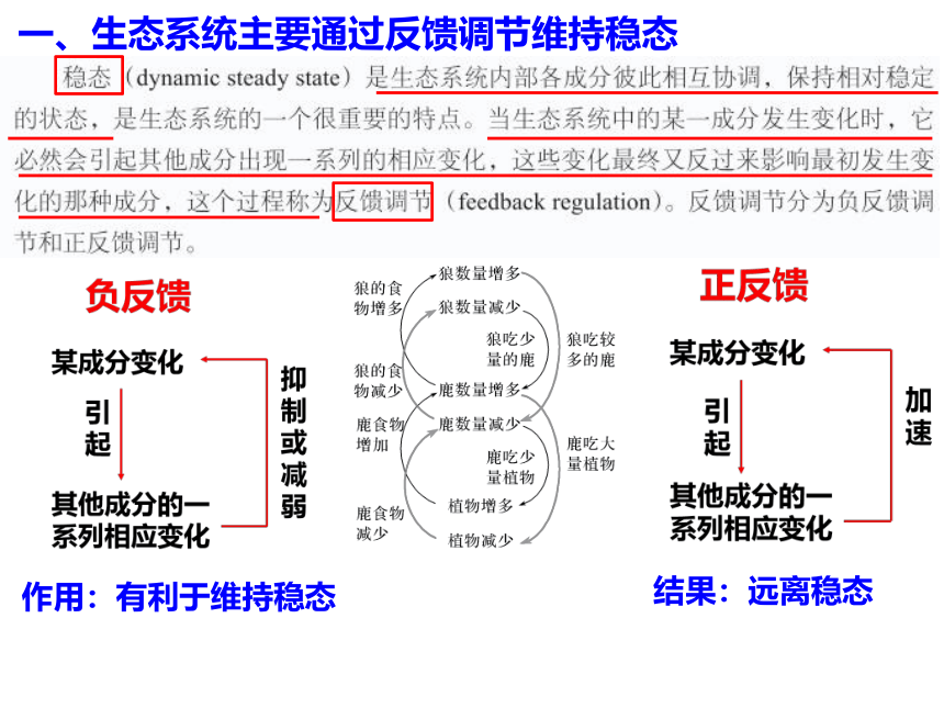 浙科版（2019）选择必修二  3-6生态系统通过自我调节维持稳态(共16张PPT)