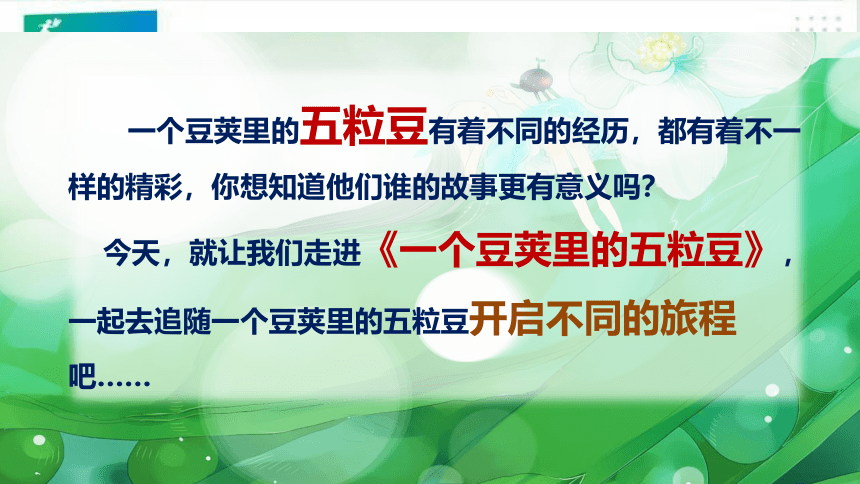 5.一个豆荚里的五粒豆   课件（共57张PPT）