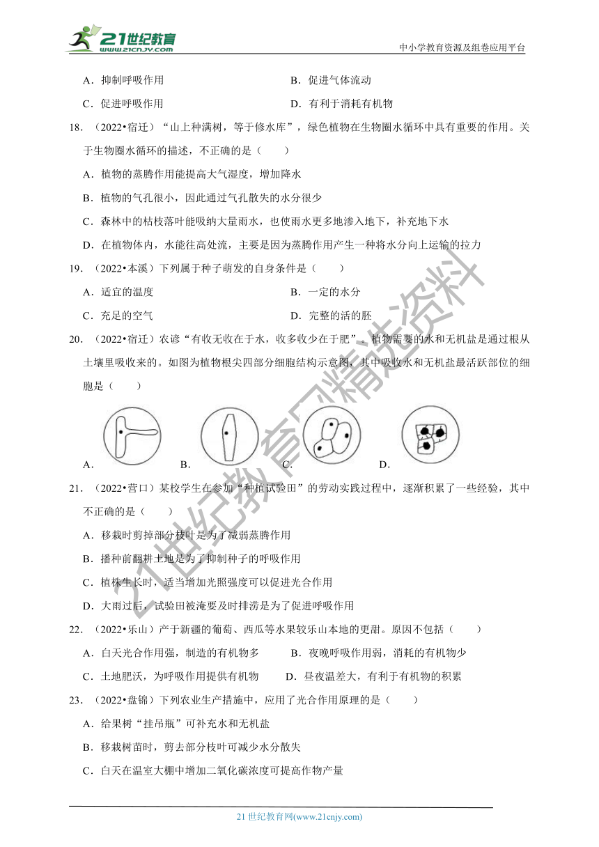 【备考2023】2022年中考生物真题分类汇编3——生物圈中的绿色植物部分（含解析）