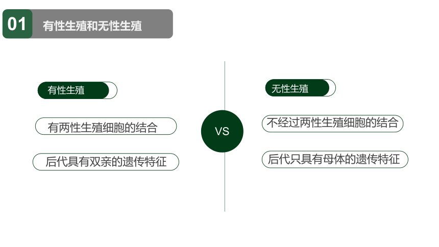 7.1.1人教版植物的生殖课件(共24张PPT)