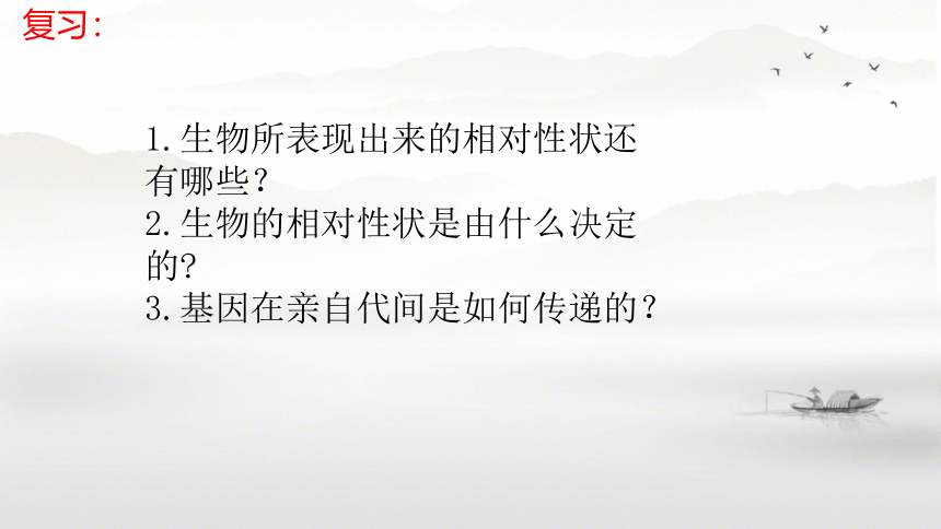 7.2.3基因的显性和隐性 课件(共39张PPT)人教版八年级下册