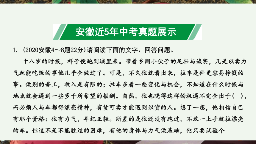 （安徽省）语文中考专题一  名著阅读 课件（91张PPT）