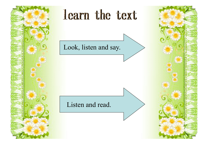 Module 3 Unit 2 What’s your hobby?课件  (共22张PPT)