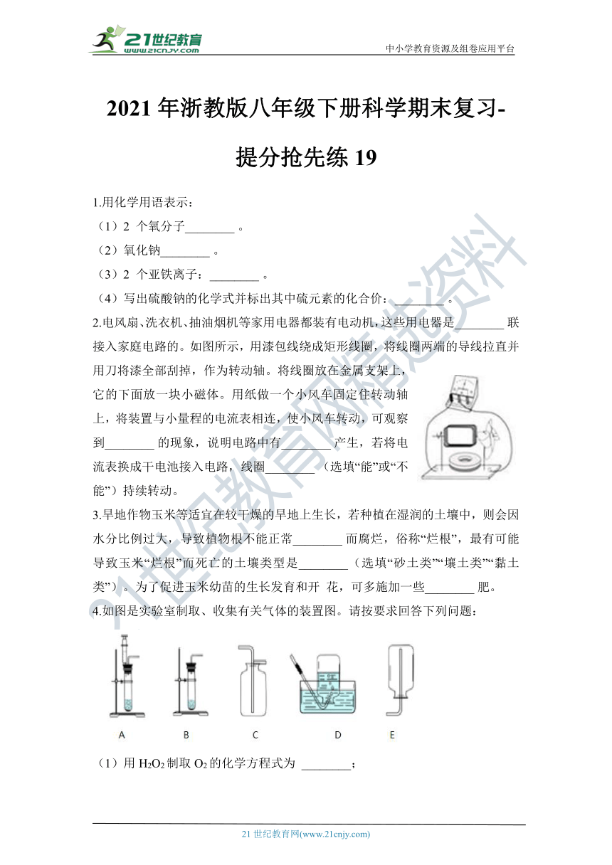 2021年浙教版八年级下册科学期末复习-提分抢先练19（含答案及难题解析）