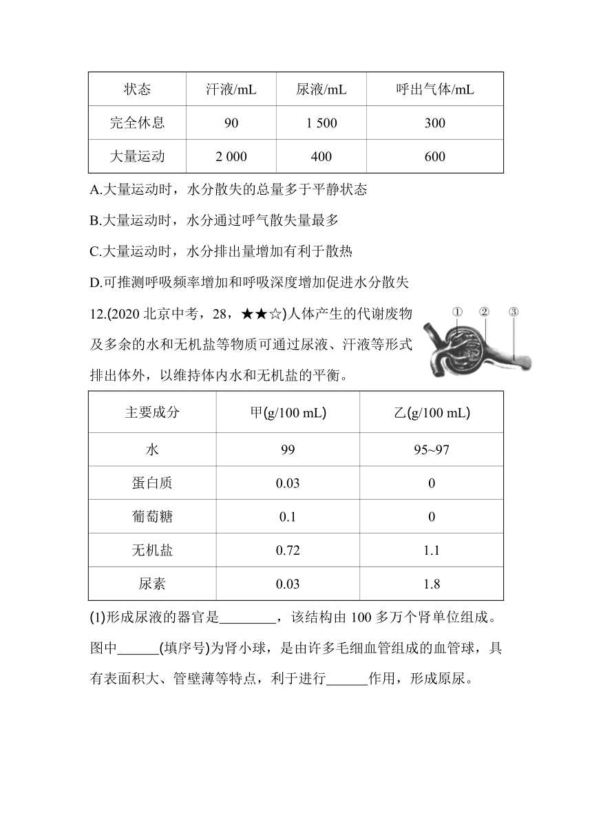 7.3 汗液的排出 同步练习（含解析）北京课改版生物七年级下册
