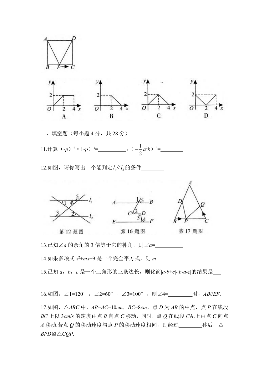 北师大版数学七年级下册期中测试卷.（含答案）