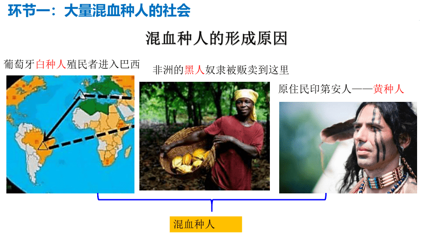 9.2 巴西-七年级下学期地理同步课件（人教版）(共24张PPT)