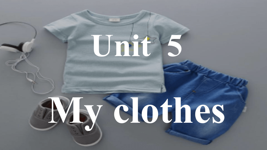 Unit 5 My clothes  复习课件(共19张PPT)