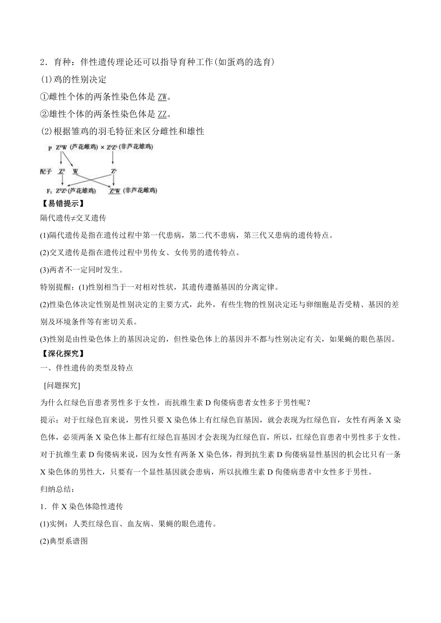 2.3伴性遗传学案