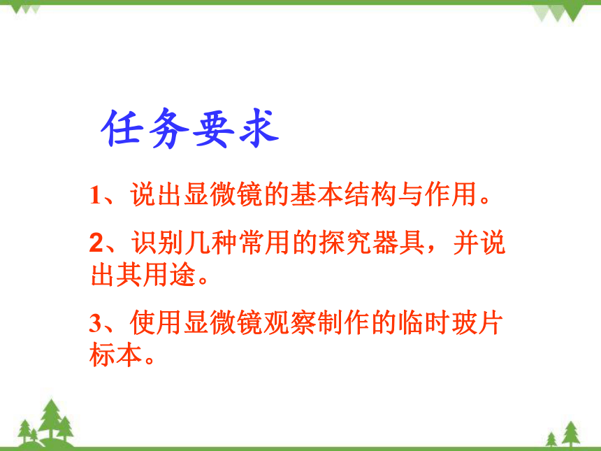 苏教版生物七年级上册 1.2.1探索生命的器具2课件(共19张PPT)