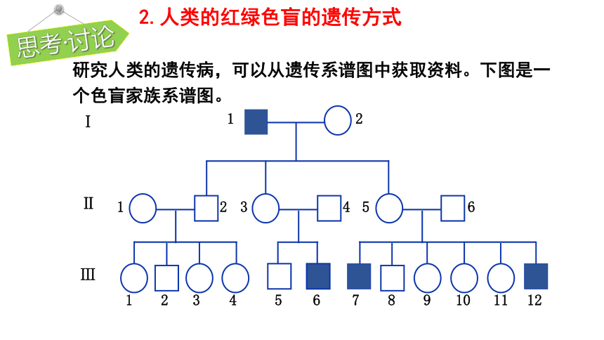 2020-2021学年高一下学期生物人教版必修二2.3伴性遗传课件（21张ppt）