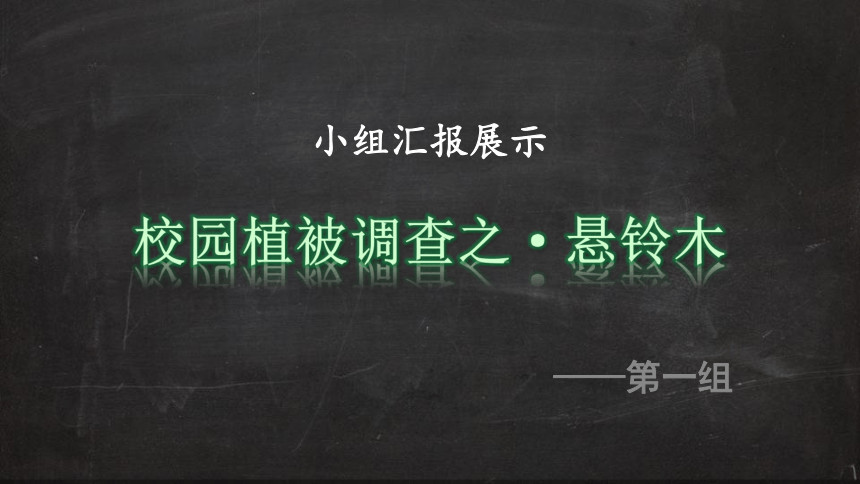 2.7  植被与自然地理环境的关系  课件（共38张幻灯片）