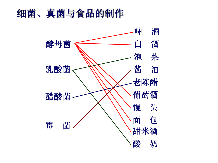 5.4.5人类对细菌和真菌的利用课件(共29张PPT)2023-2024学年人教版生物八年级上册