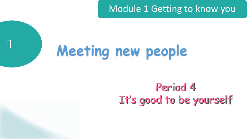 Module 1 Unit 1 Meeting new people Period 4 课件(共47张PPT)