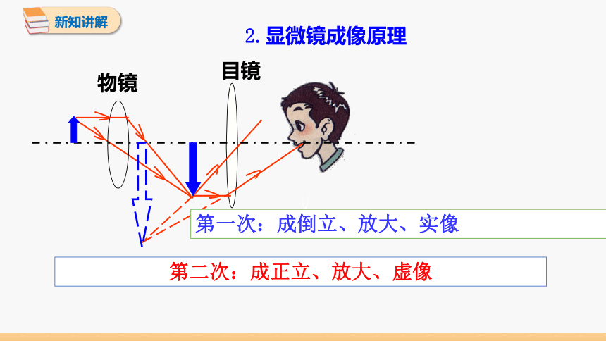 初中物理人教版八年级上册 第五章 第5节 显微镜和望远镜 同步课件 (共28张PPT)