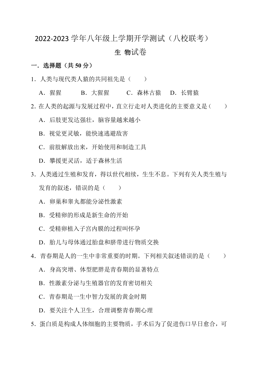 四川省江油市初中八校2022-2023学年八年级上学期开学联考生物试卷（Word版含答案）