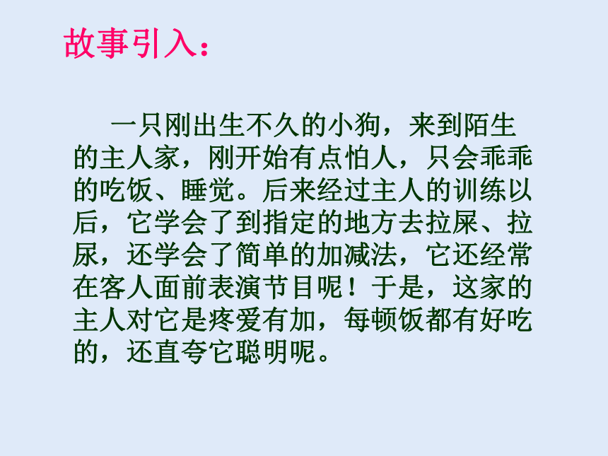 人教版八年级生物 上册第五单元 第二章 第二节 先天性行为和学习行为 课件（共37张PPT）