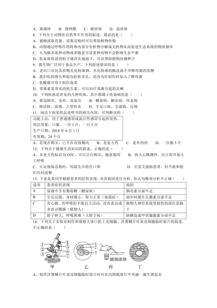 2023年湖北省襄阳市老河口市中考适应性考试（一模）生物试题（含答案）