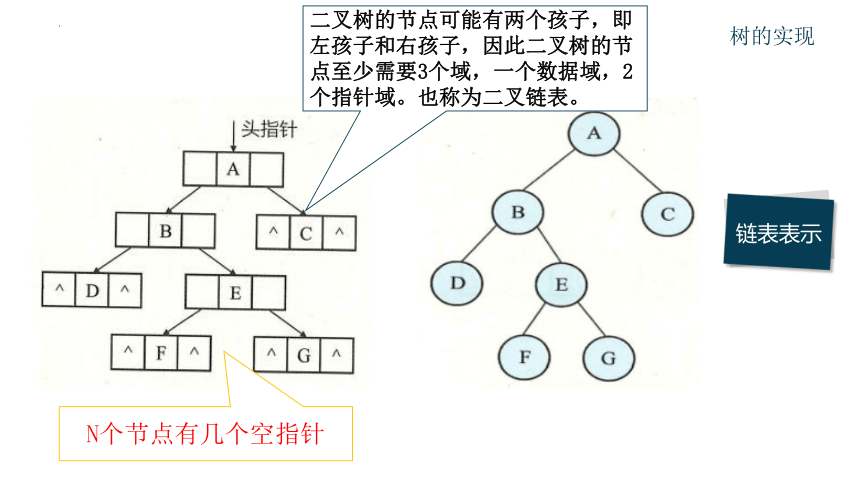 4.2二叉树的基本操作　课件浙教版（2019）高中信息技术选修1(共19张PPT)