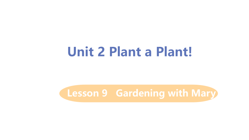 Unit 2 Plant a Plant Lesson 9 Gardening with Mary课件（20张PPT)
