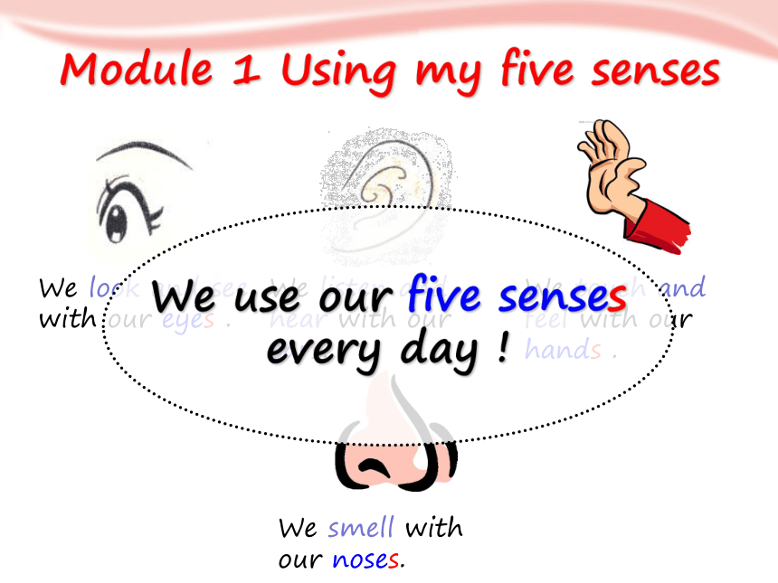 Module 1 Using my five senses  Revision 1课件（18张PPT）