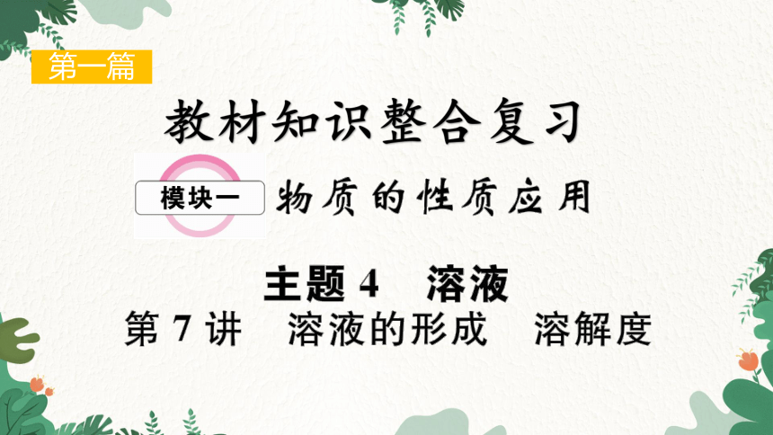 2023年中考化学一轮复习 第7讲 溶液的形成 溶解度课件(共37张PPT)