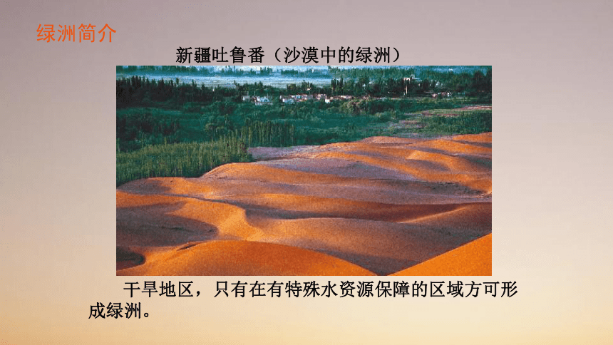 2020-2021学年人教版地理八年级下册8.2干旱的宝地——塔里木盆地课件（共31张PPT）