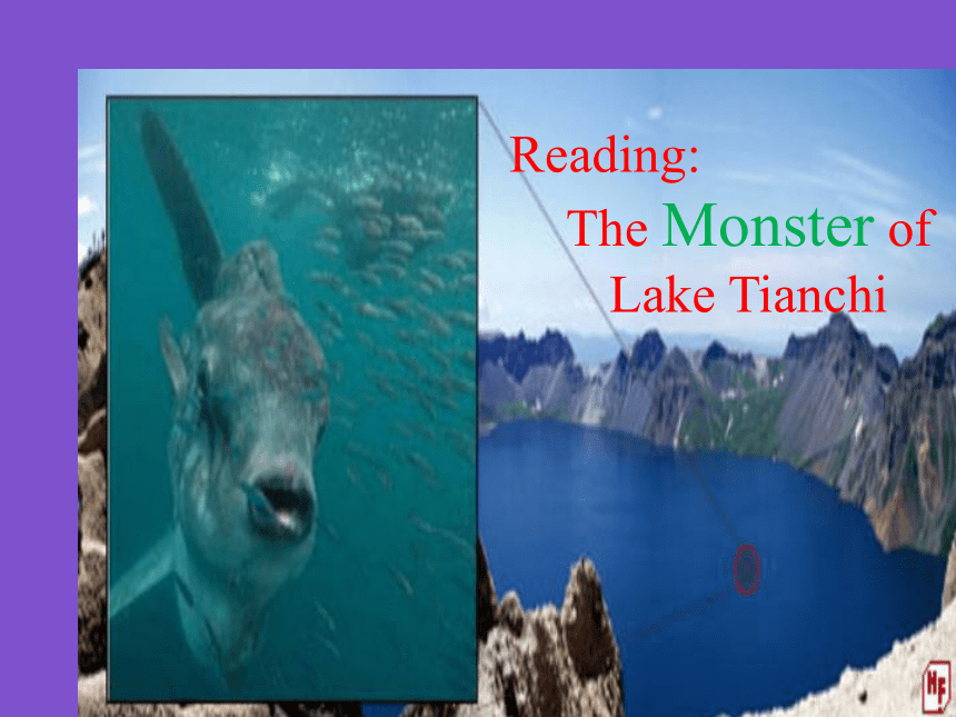 外研版  必修四  Module 6 Unexplained Mysteries of the Natural  word Reading and vocabulary(共16张PPT)