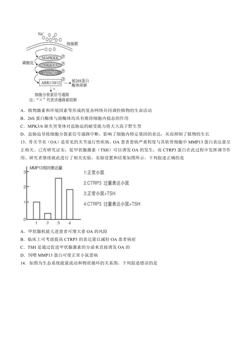 2023届辽宁省丹东市高三下学期3月总复习质量测试（一）生物学试题（含答案）