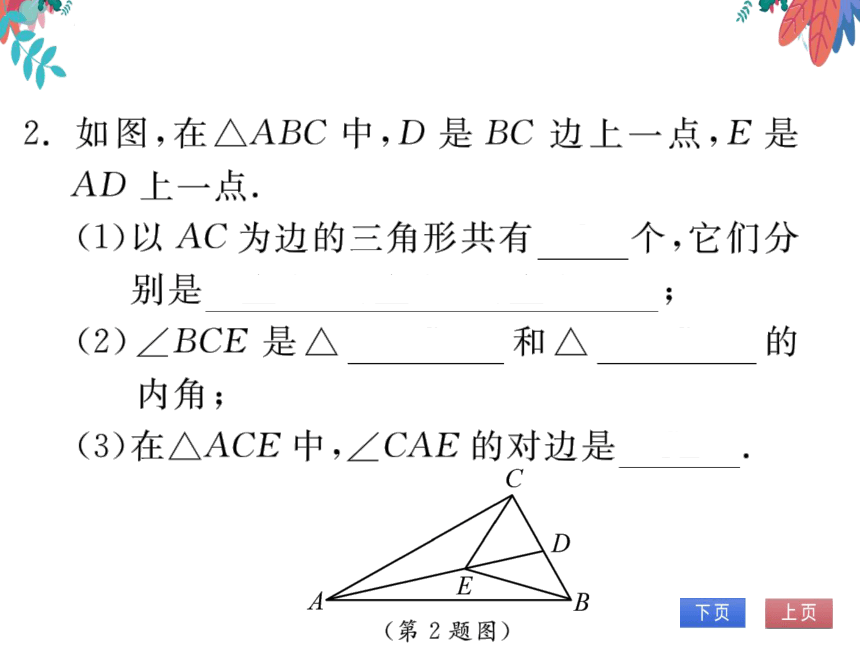 【沪科版】数学八年级上册 13.1三角形中的边角关系1.三角形中边的关系 习题课件