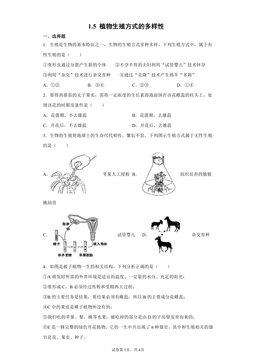 1.5 植物生殖方式的多样性 同步练习（含解析）