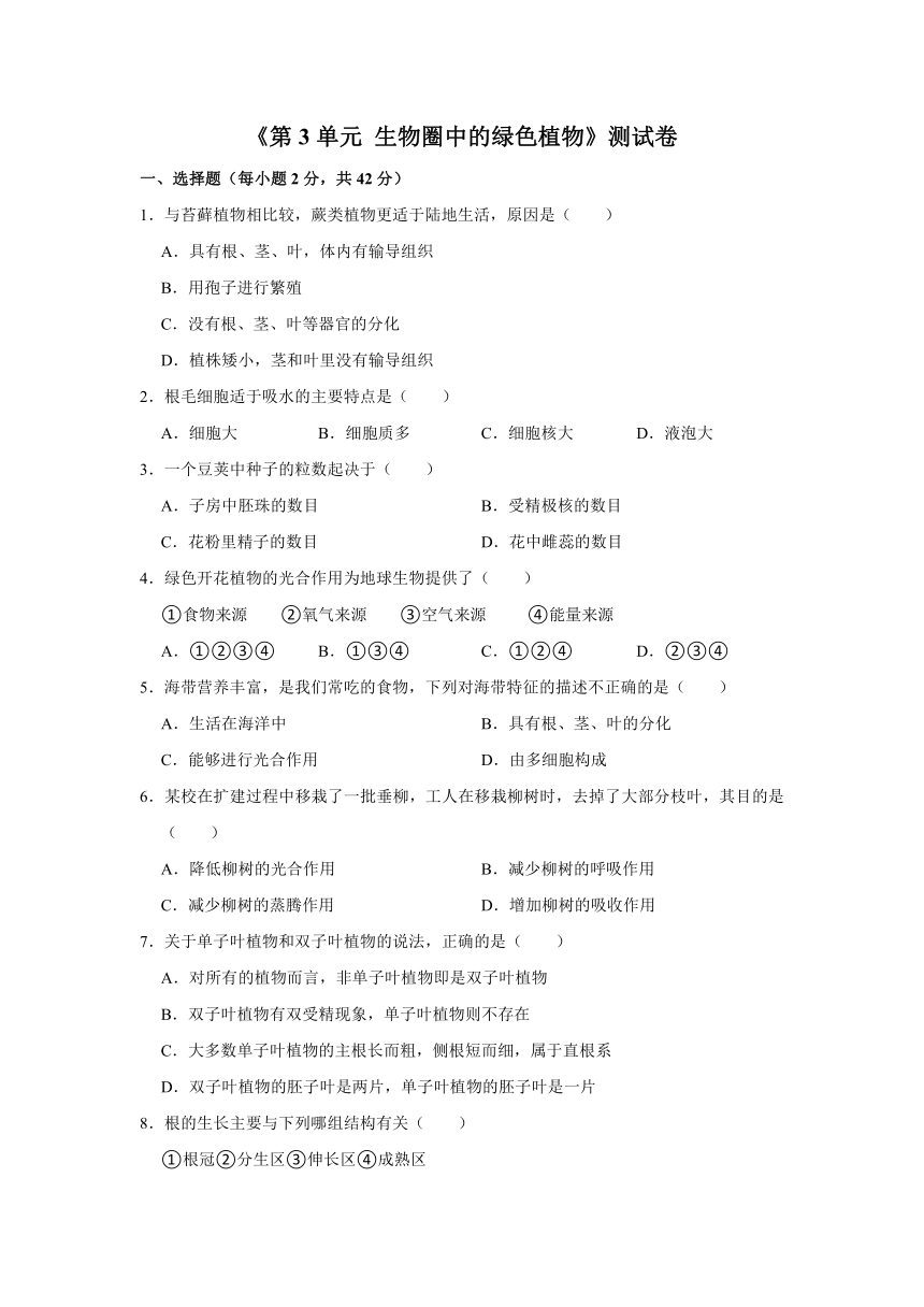 人教版生物七年级上册《第3单元 生物圈中的绿色植物》测试卷（Word版 含答案）