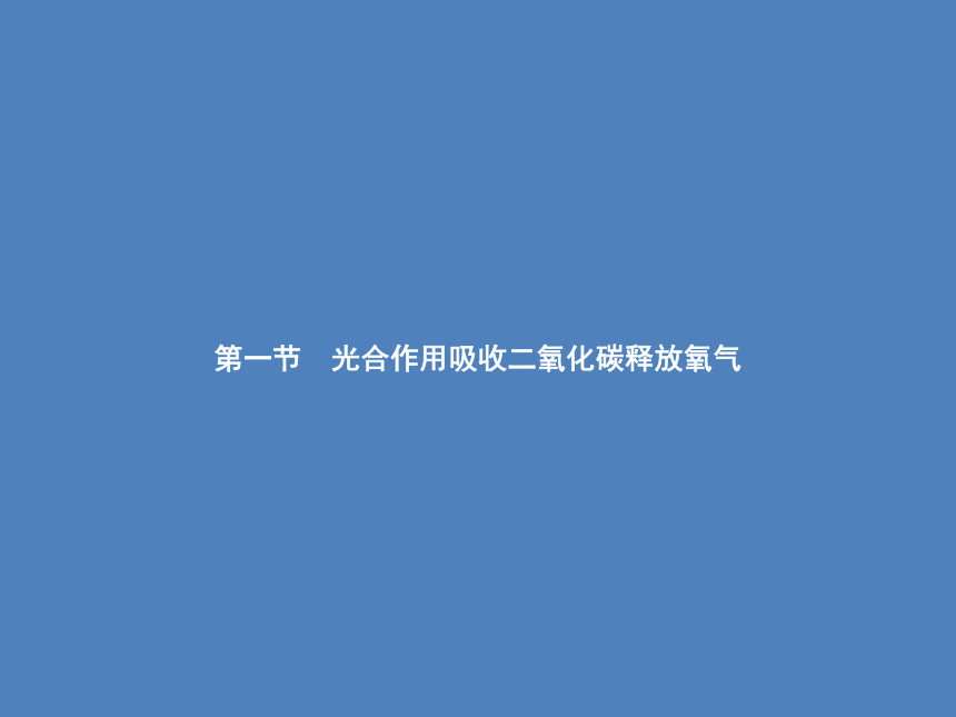 七年级上册生物 第3单元第5章　第1节　光合作用吸收二氧化碳释放氧气 习题课件(共13张PPT)