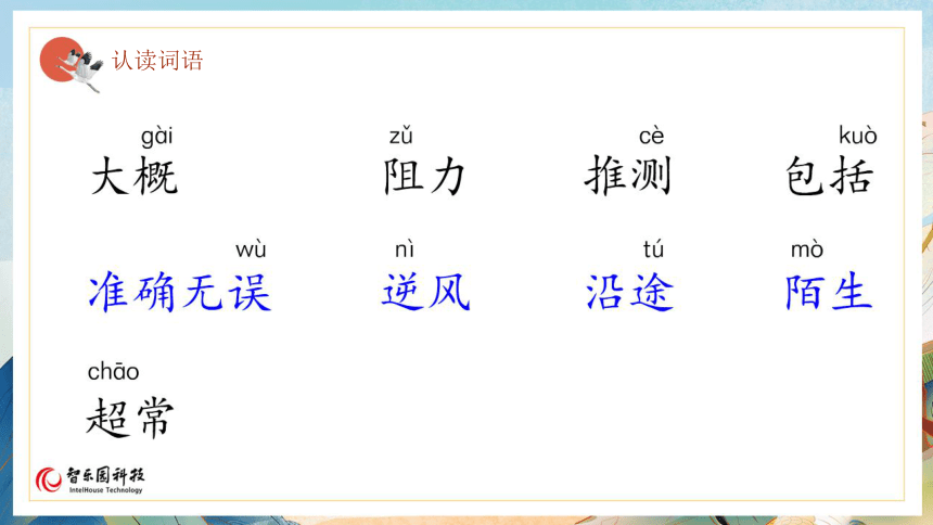 14蜜蜂（智乐园课件）