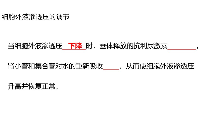 2021-2022学年高二上学期生物苏教版（2019）选择性必修1  2.3水盐平衡的调节课件(共21张PPT)