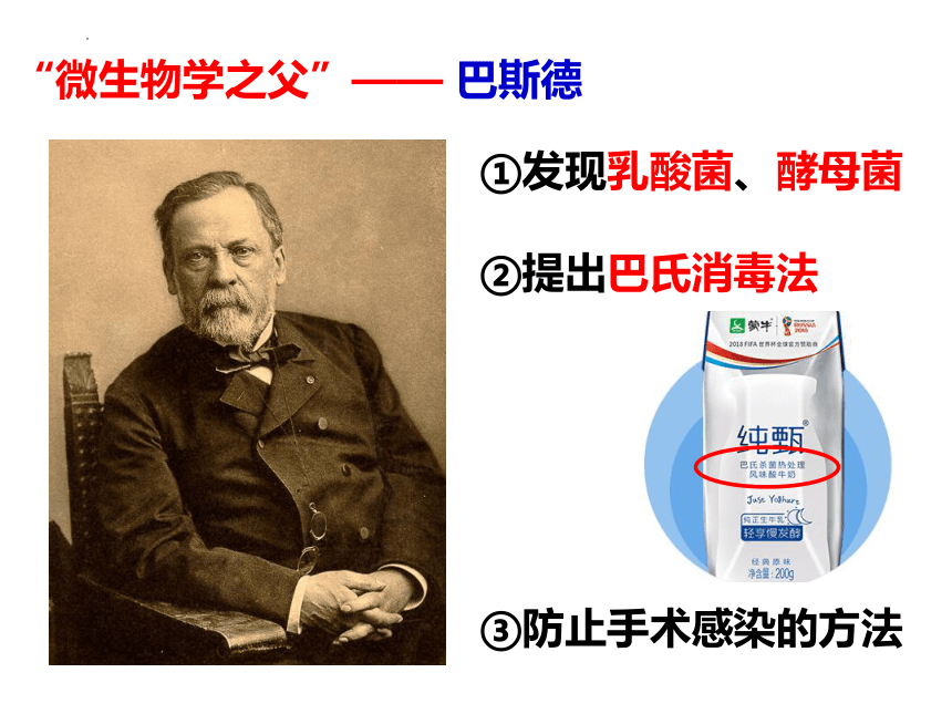 5.4.2细菌  课件(共14张PPT)2022-2023学年人教版生物八年级上册