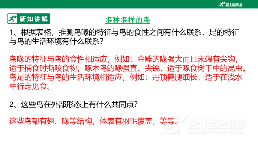 人教版5.1.6 鸟-2022-2023学年八年级生物上册 同步课件(共30张PPT)