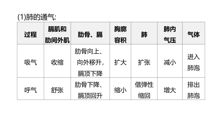 2022年浙江省中考科学一轮复习 第06课时　与人体代谢相关的系统-呼吸和消化（课件 43张PPT）