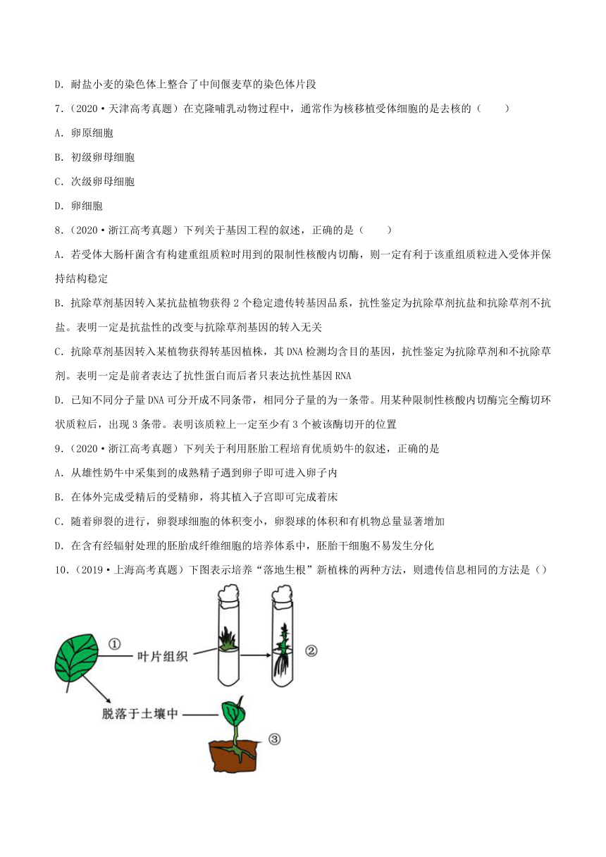 2022年高考生物三年高考真题及模拟题分类汇编：现代生物科技专题（word版含解析）