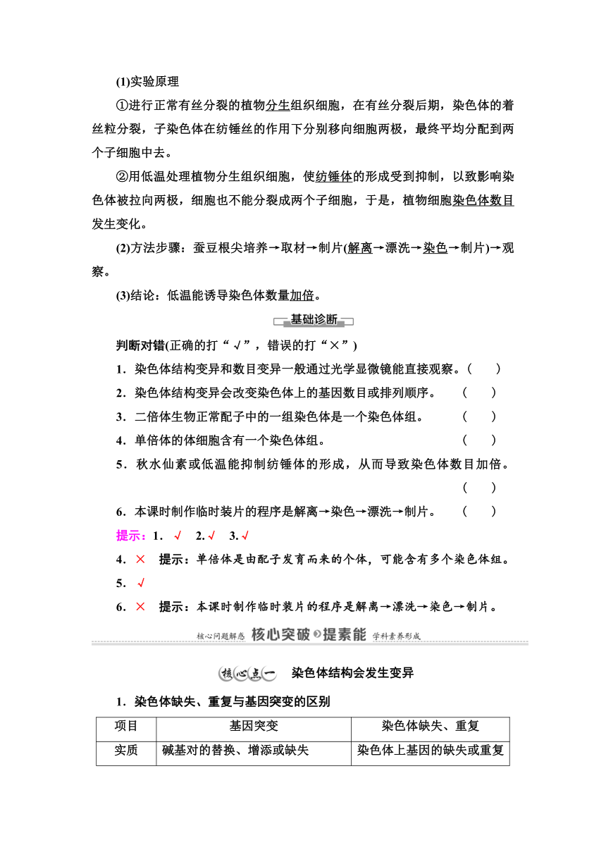 2020-2021学年苏教版（2019）高中生物： 必修2 第3章 第1节 染色体变异及其应用 学案 Word版含解析