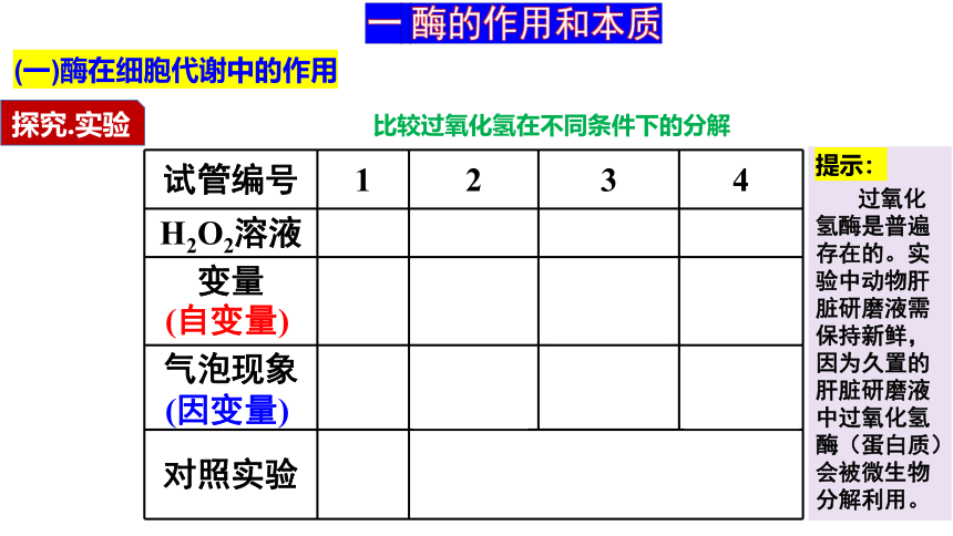 5.1降低化学反应活化能的酶课件(共41张PPT)