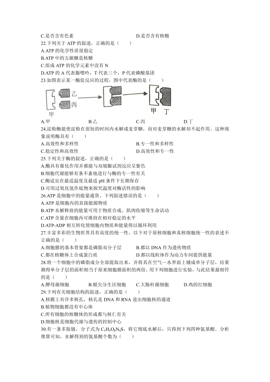 浙江省绍兴市越清崧联盟2021-2022学年高一上学期期中联考生物试题（word版含答案）