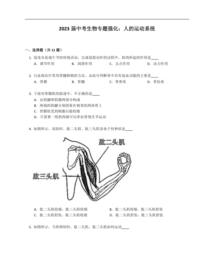 2023届中考生物专题强化：人的运动系统（部分含解析）