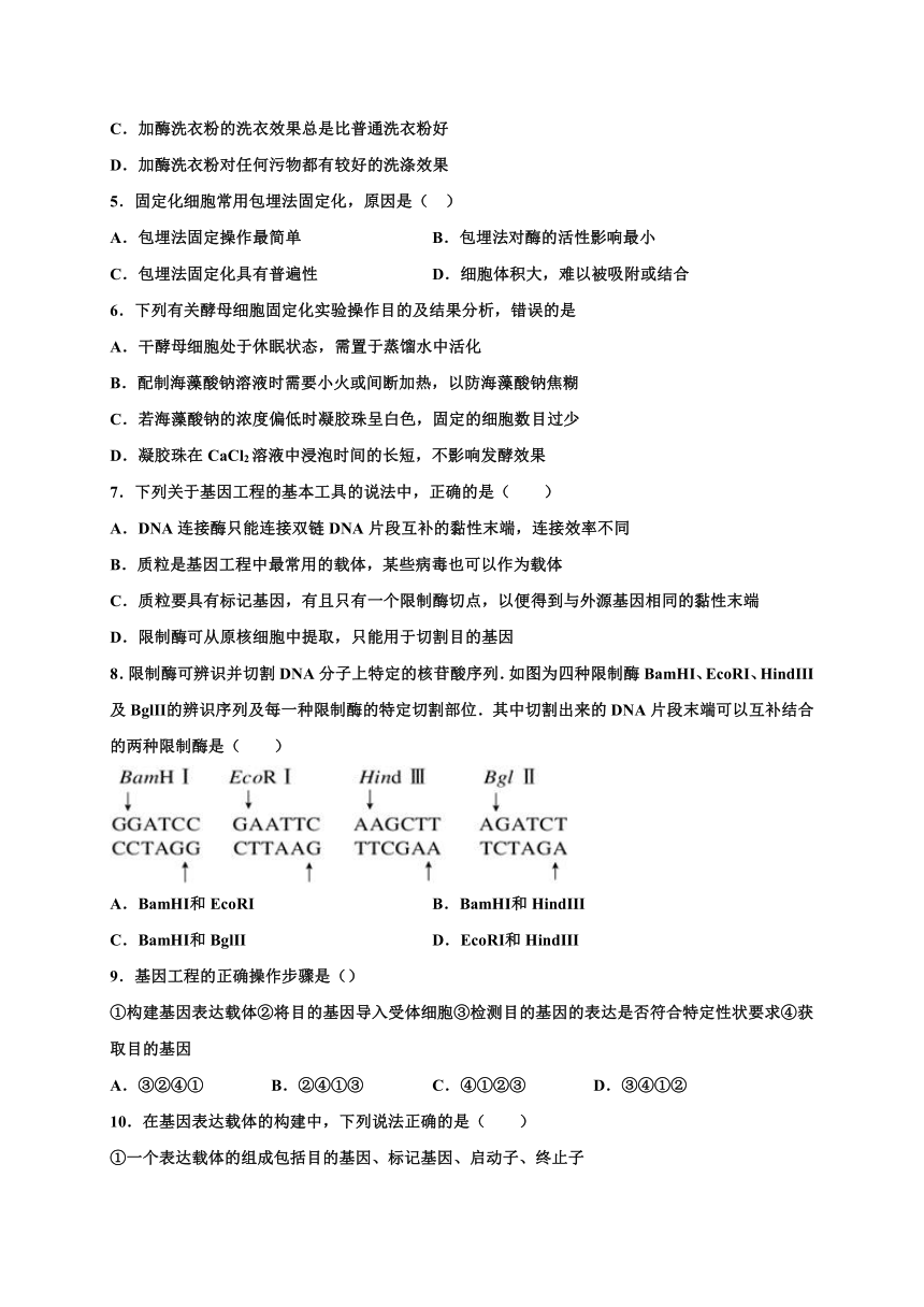 内蒙古北京八中乌兰察布分校2019-2020学年高二下学期期末考试生物试题