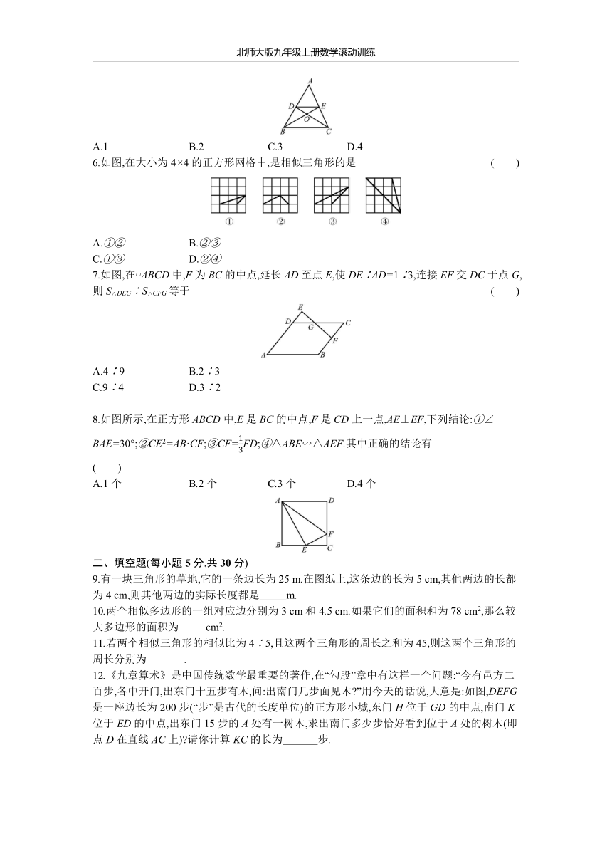 北师大版九年级上册数学滚动训练：第四章 图形的相似(4.1~4.7)（word版含答案）