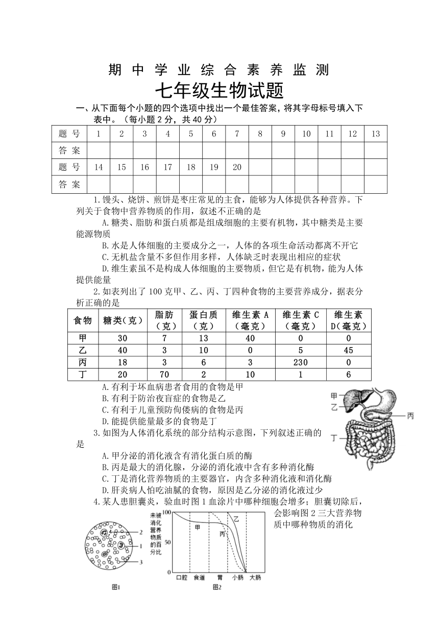 山东省枣庄市薛城区2021-2022学年七年级下学期期中考试生物试题（word版含答案）