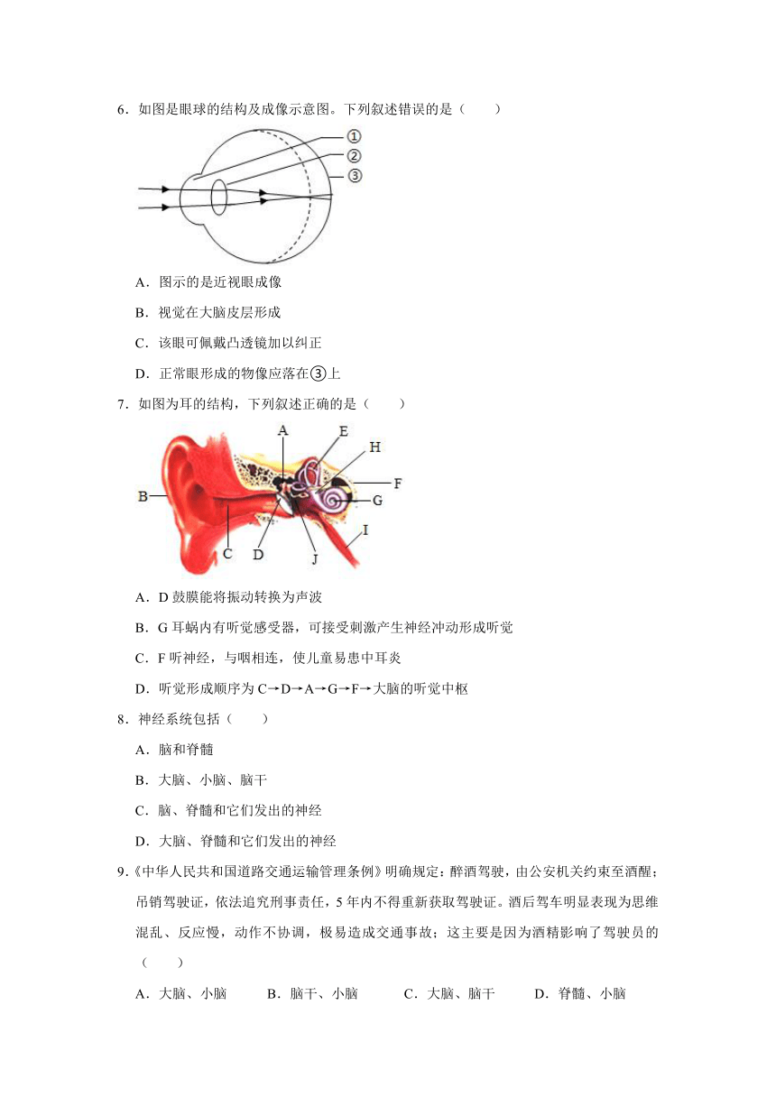 2020-2021学年人教版生物七年级下册 第四单元 第6章 人体生命活动的调节 复习题（word版含答案）