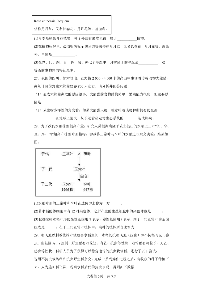 鲁教版生物八年级下册期末检测优化提升训练试题2（含解析）