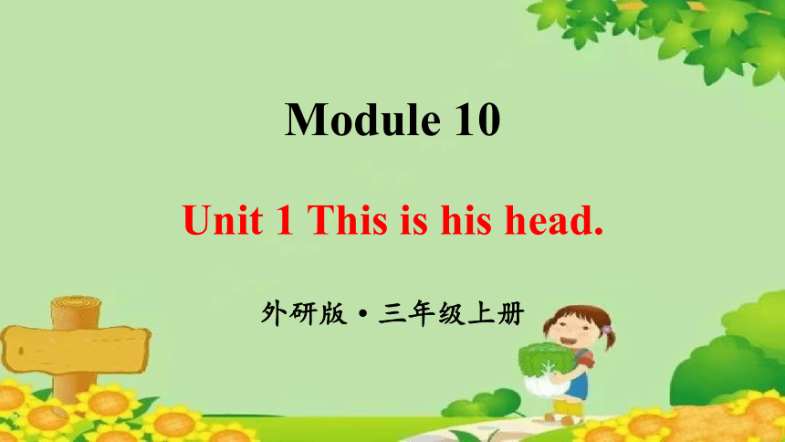 Module 10 Unit 1 This is his head课件(共30张PPT)